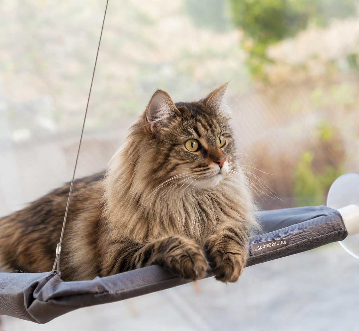 Hamaca colgante para gatos